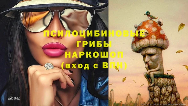 МДПВ Арсеньев