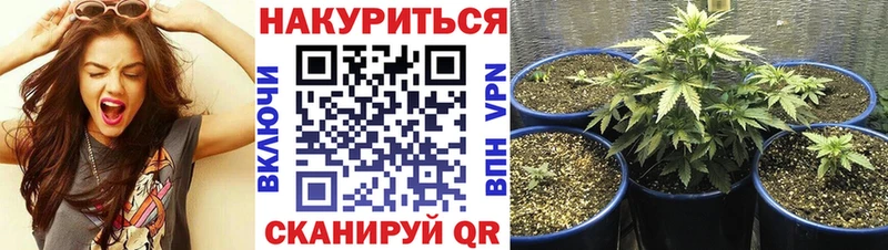 OMG онион  Мурино  Каннабис OG Kush 